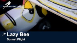 Lazy Bee – Depron Parkflyer – Baudoku