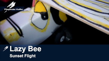 Lazy Bee, Eigenbau, Baudoku